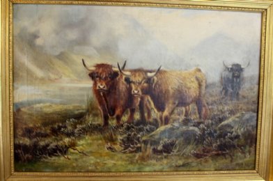Oil Painting, Highland Cattle - SOLD