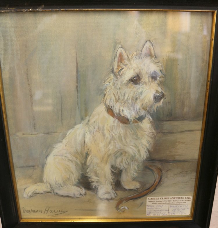 Castle Close Antiques - west highland terrier - Paintings