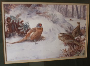 Watercolour, Pheasants in snowy wood