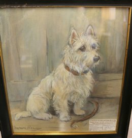 West Highland Terrier