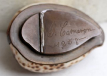 Cowrie Shell Snuff Box